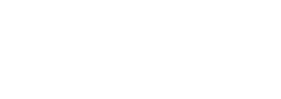 Valdenegro y Asociados